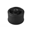 Support moteur TEDGUM TED33951 - Visuel 1