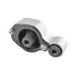 Support moteur TEDGUM TED34420 - Visuel 1