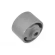 Support moteur TEDGUM TED36113 - Visuel 2