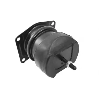 Support moteur TEDGUM TED36116