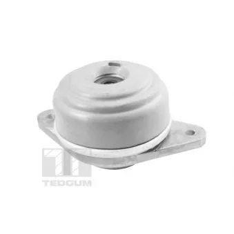 Support moteur TEDGUM TED37501