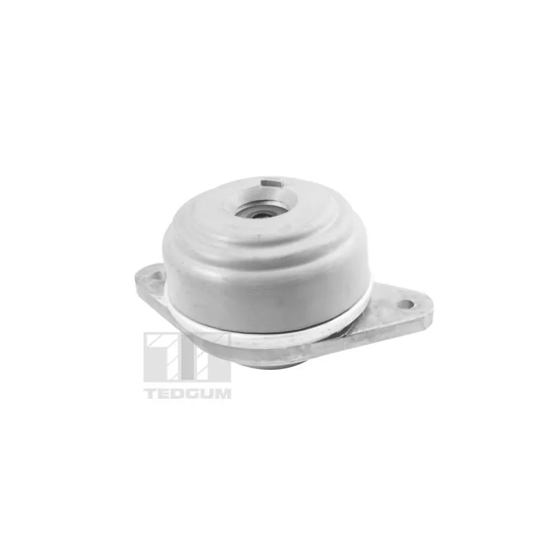 Support moteur TEDGUM TED37501