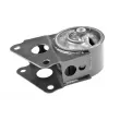 Support moteur TEDGUM TED38649 - Visuel 1
