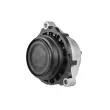 Support moteur TEDGUM TED38660 - Visuel 3