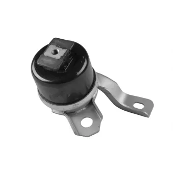 Support moteur avant droit TEDGUM