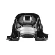 Support moteur TEDGUM TED42730 - Visuel 2