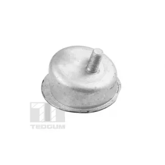 Support moteur avant droit TEDGUM