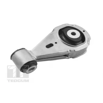 Support moteur TEDGUM TED43690