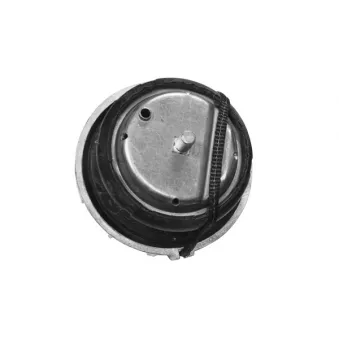 Support moteur TEDGUM TED46098
