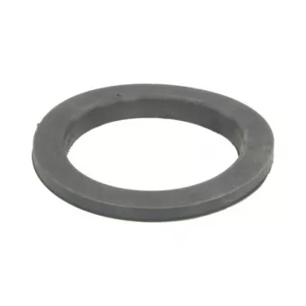 Patin de ressort TEDGUM TED46443