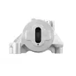 Support moteur avant droit TEDGUM TED46865 - Visuel 1
