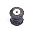 Suspension, ressort à lames TEDGUM TED48402 - Visuel 2