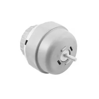 Support moteur avant gauche TEDGUM