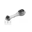Support moteur TEDGUM TED50390 - Visuel 1