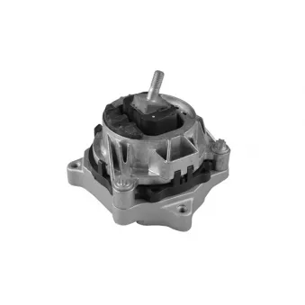 Support moteur TEDGUM TED56344