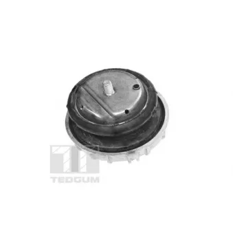 Support moteur TEDGUM TED57477