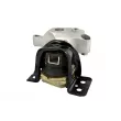 Support moteur avant droit TEDGUM TED57723 - Visuel 3