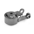 Support moteur TEDGUM TED60533 - Visuel 1