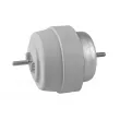 Support moteur TEDGUM TED64147 - Visuel 2