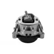 Support moteur TEDGUM TED68180 - Visuel 1