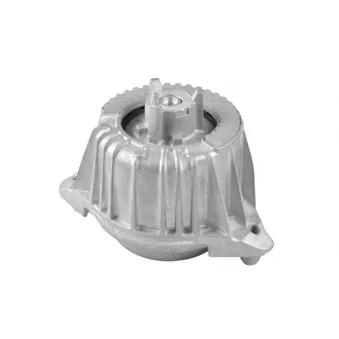 Support moteur avant droit TEDGUM