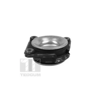 Support de jambe de suspension TEDGUM