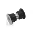 Suspension, ressort à lames TEDGUM TED79269 - Visuel 1