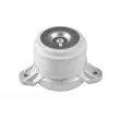 Support moteur TEDGUM TED79851 - Visuel 1