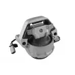 Support moteur TEDGUM TED93380 - Visuel 1