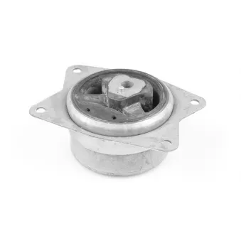 Support moteur avant gauche TEDGUM TED95962