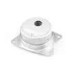 Support moteur avant gauche TEDGUM TED95962 - Visuel 3