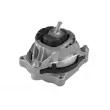 Support moteur TEDGUM TED99405 - Visuel 2