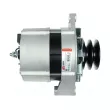 Alternateur AS-PL A9031 - Visuel 2