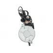 Démarreur AS-PL S5420S - Visuel 3
