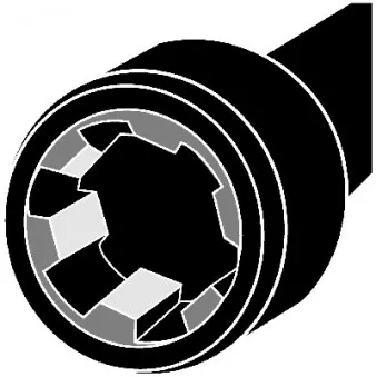 Jeu de boulons de culasse de cylindre CORTECO 016268B