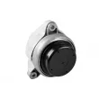 Support moteur TEDGUM TED17996 - Visuel 3