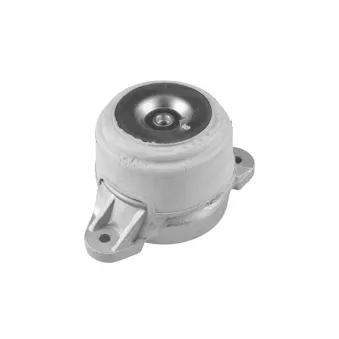 Support moteur avant droit TEDGUM