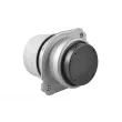 Support moteur TEDGUM TED25233 - Visuel 3