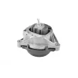 Support moteur avant gauche TEDGUM TED27609 - Visuel 1