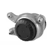 Support moteur TEDGUM TED38185 - Visuel 3