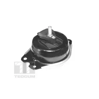 Support moteur avant droit TEDGUM TED40414