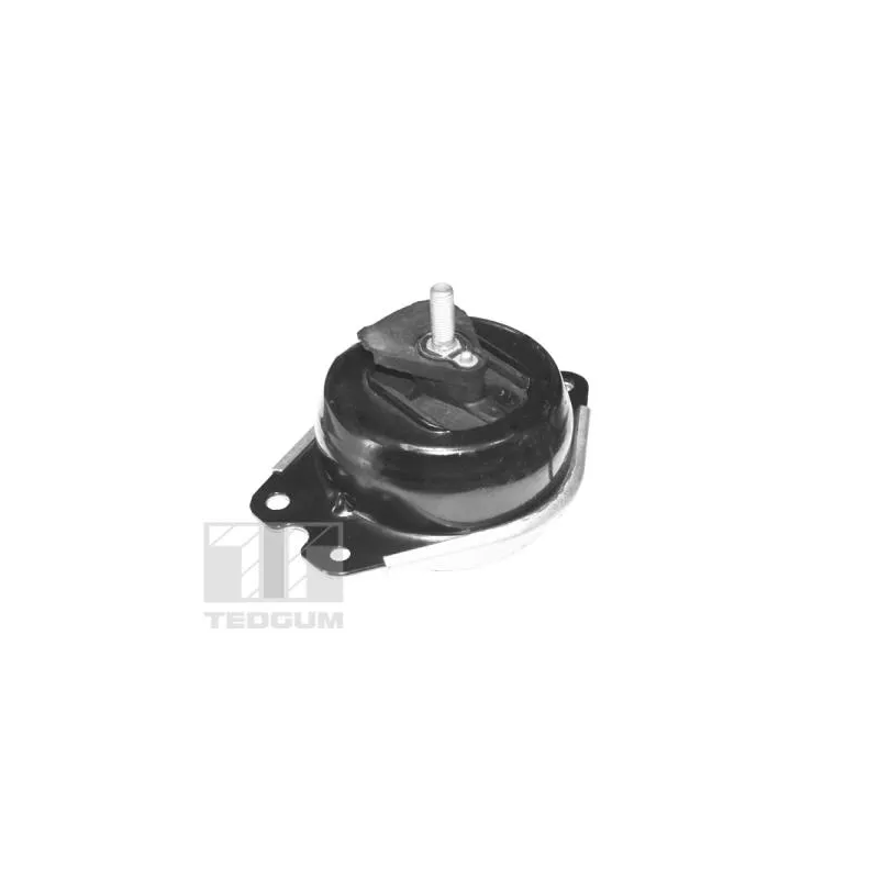 Support moteur avant droit TEDGUM TED40414