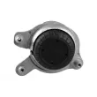 Support moteur TEDGUM TED51911 - Visuel 3