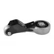 Support moteur TEDGUM TED60530 - Visuel 1