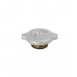Bouchon, réservoir de liquide de refroidissement LTD LTD-1245000406 - Visuel 1