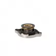 Bouchon, réservoir de liquide de refroidissement LTD LTD-1245000406 - Visuel 3