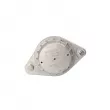 Support moteur LTD LTD-8A0199379E - Visuel 1