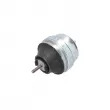 Support moteur LTD LTD-8D0199379K - Visuel 2