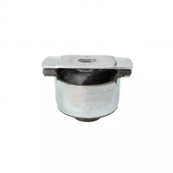 Suspension, corps de l'essieu arrière droit LTD LTD-8200597259