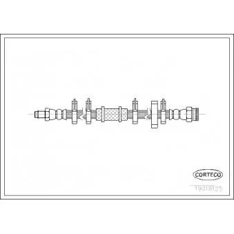 Flexible de frein CORTECO 19018125